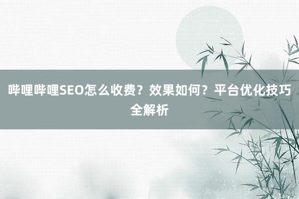哔哩哔哩SEO怎么收费？效果如何？平台优化技巧全解析