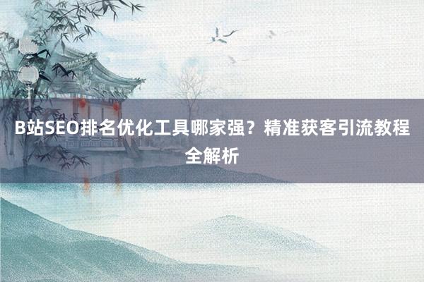 B站SEO排名优化工具哪家强？精准获客引流教程全解析