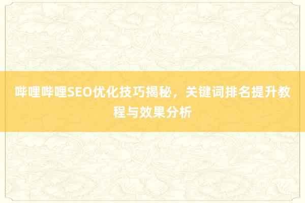 哔哩哔哩SEO优化技巧揭秘，关键词排名提升教程与效果分析