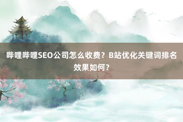哔哩哔哩SEO公司怎么收费？B站优化关键词排名效果如何？