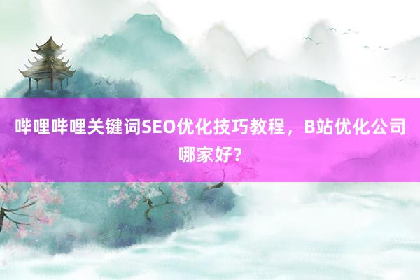 哔哩哔哩关键词SEO优化技巧教程，B站优化公司哪家好？