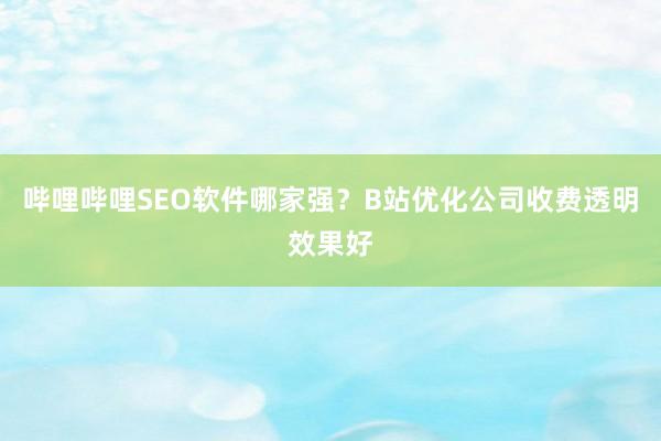 哔哩哔哩SEO软件哪家强？B站优化公司收费透明效果好