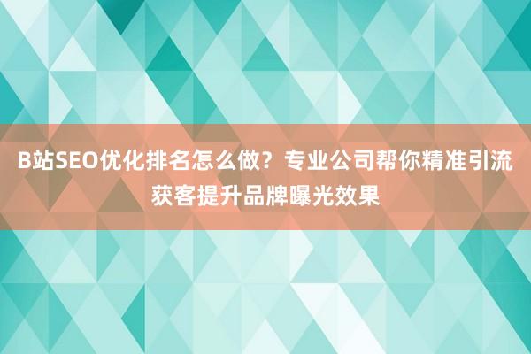 B站SEO优化排名怎么做？专业公司帮你精准引流获客提升品牌曝光效果