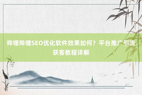 哔哩哔哩SEO优化软件效果如何？平台推广引流获客教程详解
