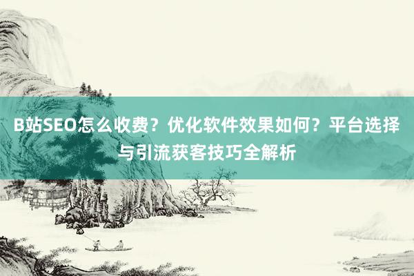 B站SEO怎么收费？优化软件效果如何？平台选择与引流获客技巧全解析