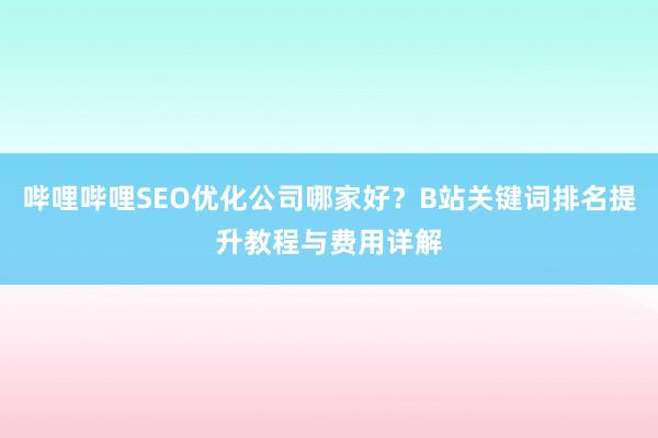 哔哩哔哩SEO优化公司哪家好？B站关键词排名提升教程与费用详解