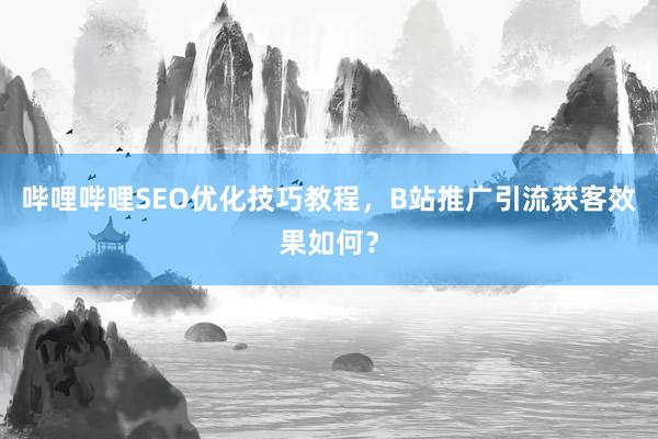 哔哩哔哩SEO优化技巧教程，B站推广引流获客效果如何？