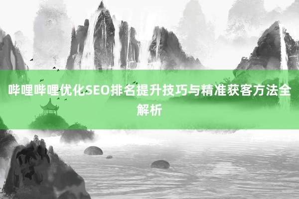 哔哩哔哩优化SEO排名提升技巧与精准获客方法全解析