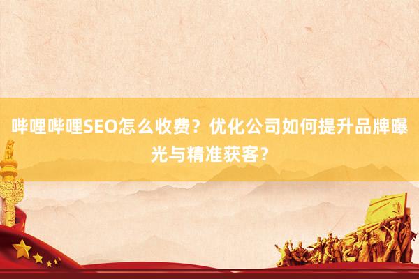 哔哩哔哩SEO怎么收费？优化公司如何提升品牌曝光与精准获客？