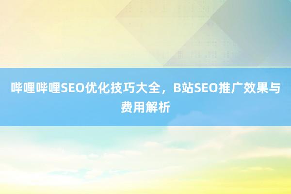 哔哩哔哩SEO优化技巧大全，B站SEO推广效果与费用解析
