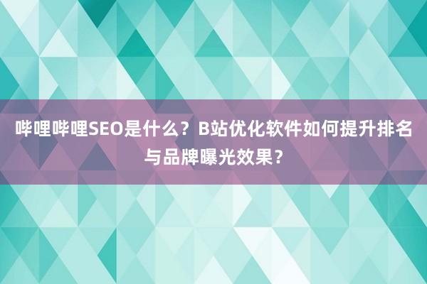 哔哩哔哩SEO是什么？B站优化软件如何提升排名与品牌曝光效果？