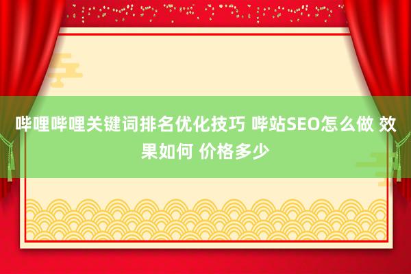 哔哩哔哩关键词排名优化技巧 哔站SEO怎么做 效果如何 价格多少
