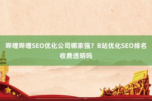 哔哩哔哩SEO优化公司哪家强？B站优化SEO排名收费透明吗