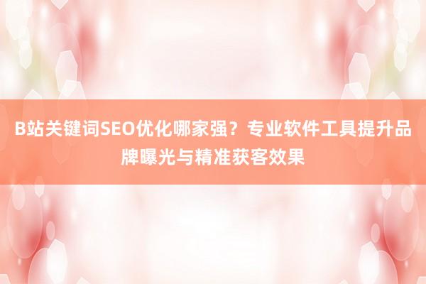 B站关键词SEO优化哪家强？专业软件工具提升品牌曝光与精准获客效果