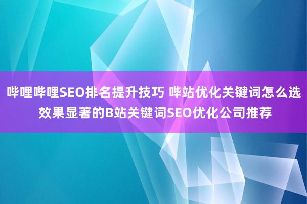 哔哩哔哩SEO排名提升技巧 哔站优化关键词怎么选 效果显著的B站关键词SEO优化公司推荐