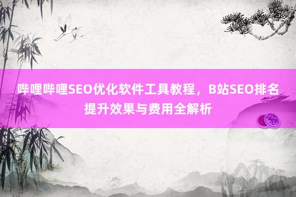 哔哩哔哩SEO优化软件工具教程，B站SEO排名提升效果与费用全解析