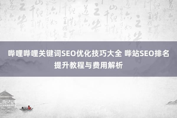 哔哩哔哩关键词SEO优化技巧大全 哔站SEO排名提升教程与费用解析