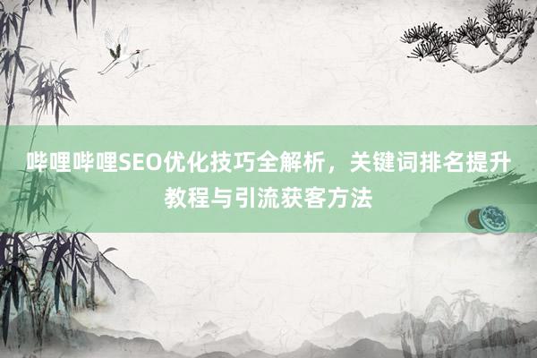 哔哩哔哩SEO优化技巧全解析，关键词排名提升教程与引流获客方法