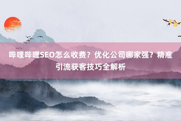 哔哩哔哩SEO怎么收费？优化公司哪家强？精准引流获客技巧全解析