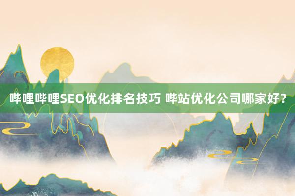 哔哩哔哩SEO优化排名技巧 哔站优化公司哪家好？