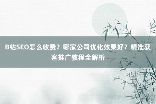 B站SEO怎么收费？哪家公司优化效果好？精准获客推广教程全解析
