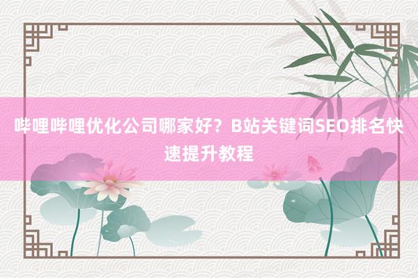 哔哩哔哩优化公司哪家好？B站关键词SEO排名快速提升教程