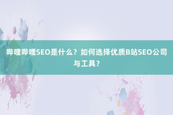 哔哩哔哩SEO是什么？如何选择优质B站SEO公司与工具？