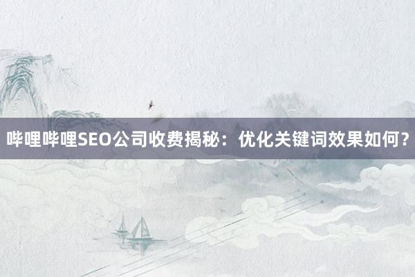 哔哩哔哩SEO公司收费揭秘：优化关键词效果如何？