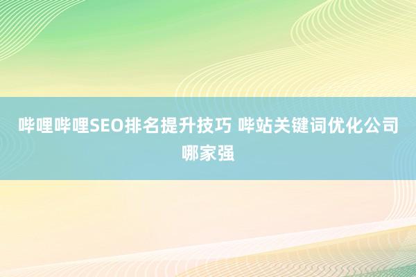 哔哩哔哩SEO排名提升技巧 哔站关键词优化公司哪家强