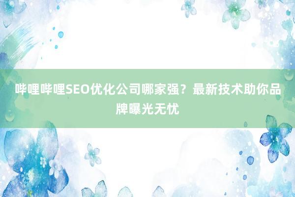 哔哩哔哩SEO优化公司哪家强？最新技术助你品牌曝光无忧