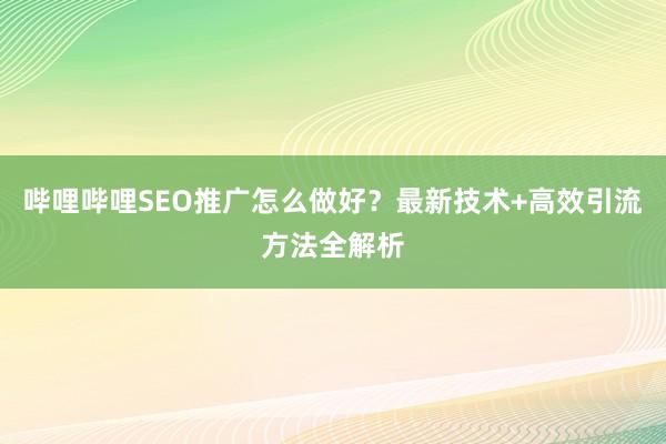 哔哩哔哩SEO推广怎么做好？最新技术+高效引流方法全解析