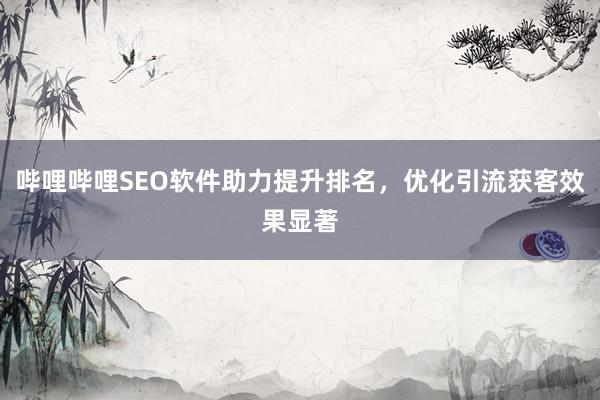 哔哩哔哩SEO软件助力提升排名，优化引流获客效果显著
