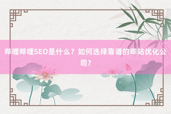 哔哩哔哩SEO是什么？如何选择靠谱的哔站优化公司？