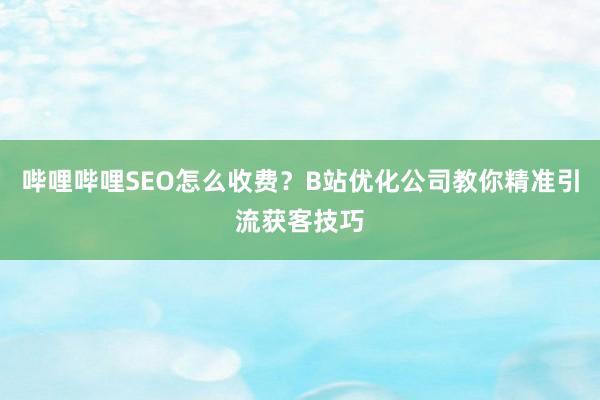 哔哩哔哩SEO怎么收费？B站优化公司教你精准引流获客技巧