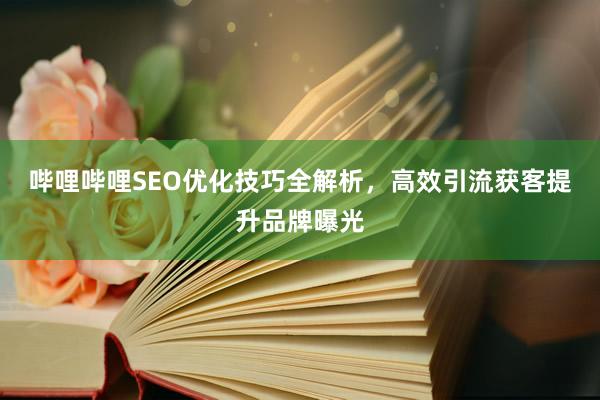 哔哩哔哩SEO优化技巧全解析，高效引流获客提升品牌曝光