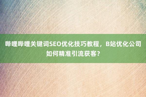 哔哩哔哩关键词SEO优化技巧教程，B站优化公司如何精准引流获客？