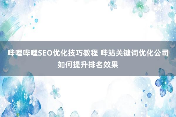 哔哩哔哩SEO优化技巧教程 哔站关键词优化公司如何提升排名效果