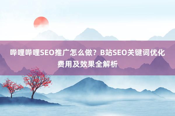 哔哩哔哩SEO推广怎么做？B站SEO关键词优化费用及效果全解析