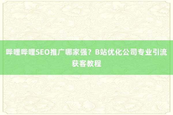 哔哩哔哩SEO推广哪家强？B站优化公司专业引流获客教程