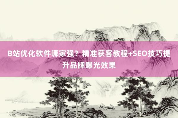 B站优化软件哪家强？精准获客教程+SEO技巧提升品牌曝光效果
