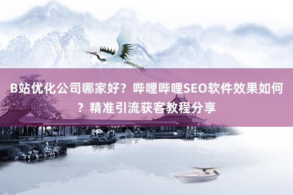 B站优化公司哪家好？哔哩哔哩SEO软件效果如何？精准引流获客教程分享