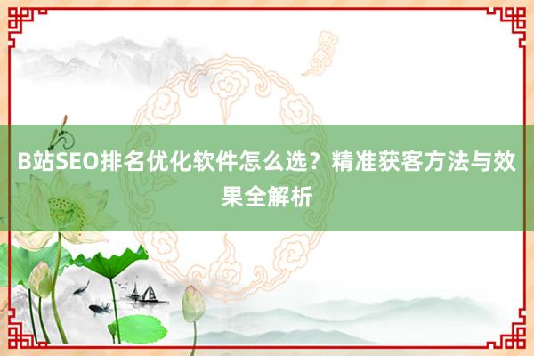 B站SEO排名优化软件怎么选？精准获客方法与效果全解析