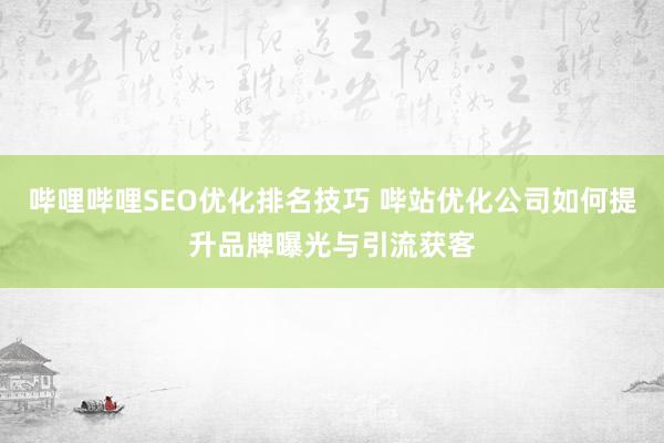 哔哩哔哩SEO优化排名技巧 哔站优化公司如何提升品牌曝光与引流获客