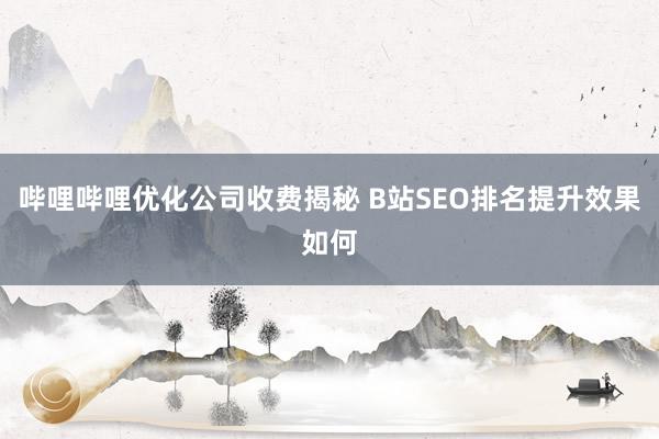 哔哩哔哩优化公司收费揭秘 B站SEO排名提升效果如何