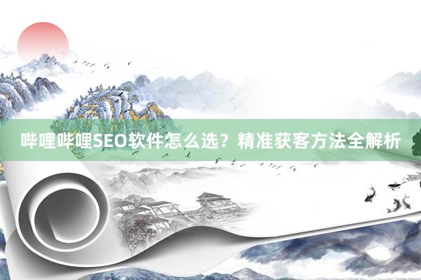 哔哩哔哩SEO软件怎么选？精准获客方法全解析