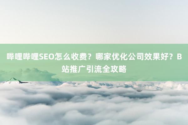 哔哩哔哩SEO怎么收费？哪家优化公司效果好？B站推广引流全攻略