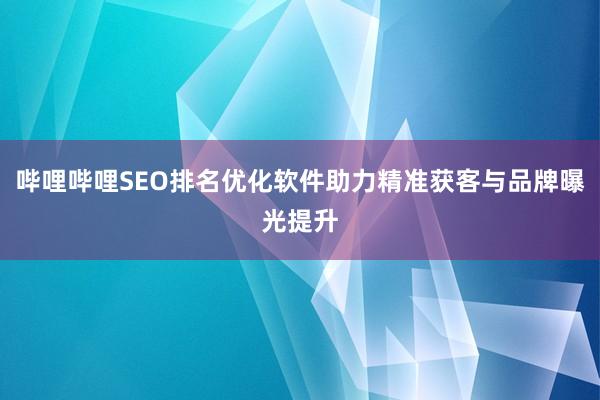 哔哩哔哩SEO排名优化软件助力精准获客与品牌曝光提升