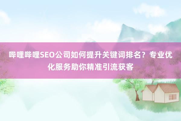 哔哩哔哩SEO公司如何提升关键词排名？专业优化服务助你精准引流获客