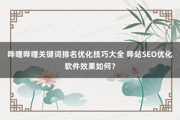 哔哩哔哩关键词排名优化技巧大全 哔站SEO优化软件效果如何？