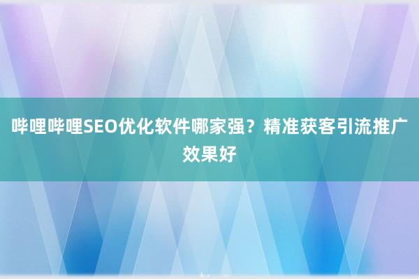 哔哩哔哩SEO优化软件哪家强？精准获客引流推广效果好